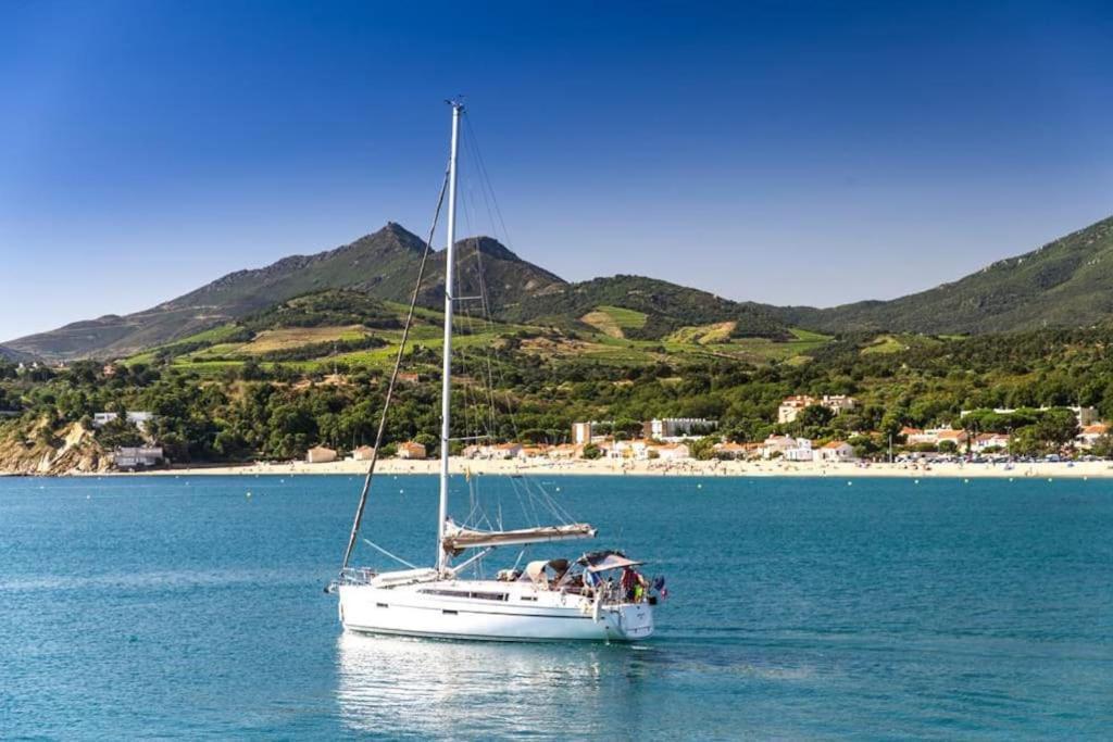 "Les Bambous" Studio Cosy Climatise Au Calme De 37 M2 Parking Gratuit A Argeles Sur Mer Экстерьер фото