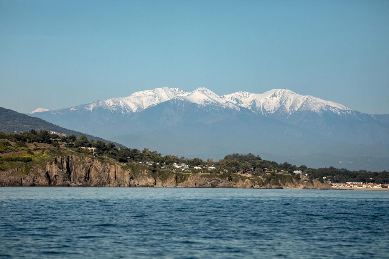 "Les Bambous" Studio Cosy Climatise Au Calme De 37 M2 Parking Gratuit A Argeles Sur Mer Экстерьер фото